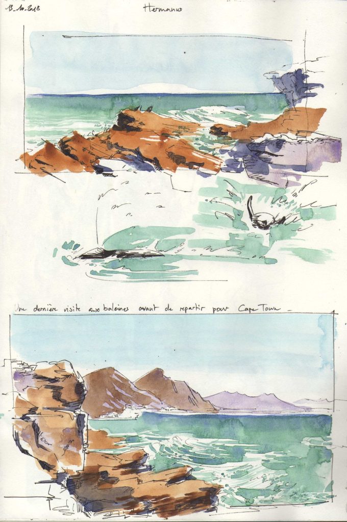 Hermanus, Afrique du Sud